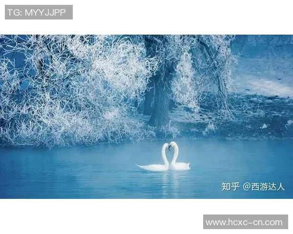 攀山鼠的勇敢冒险与自然奇观的奇妙交融之旅